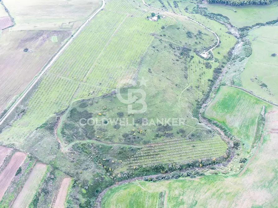 Immagine 32 di Rustico / casale in vendita  in palagonese a Francofonte