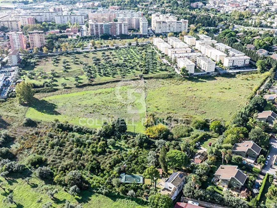 Immagine 6 di Terreno agricolo in vendita  in Via Leonardo da Vinci a Palermo