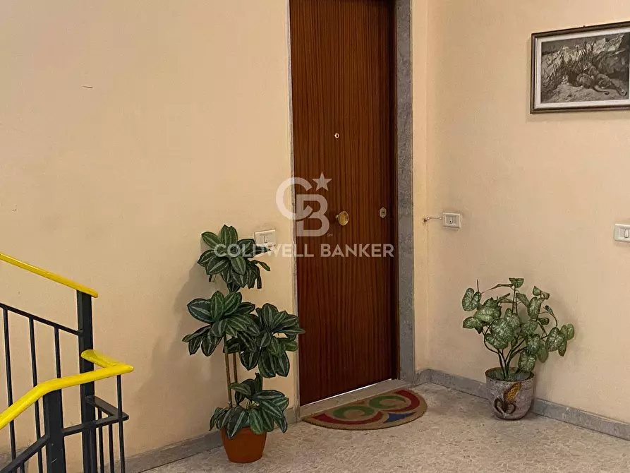 Immagine 12 di Appartamento in vendita  in Via del Bosco 54 a Catania