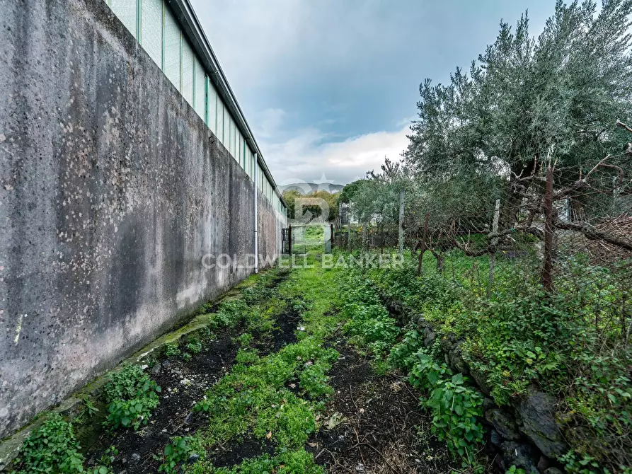Immagine 2 di Terreno agricolo in vendita  in Via Cimitero Civita a Zafferana Etnea