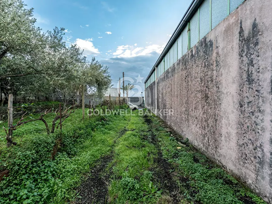Immagine 3 di Terreno agricolo in vendita  in Via Cimitero Civita a Zafferana Etnea