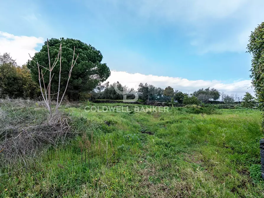 Immagine 4 di Terreno agricolo in vendita  in Via Cimitero Civita a Zafferana Etnea