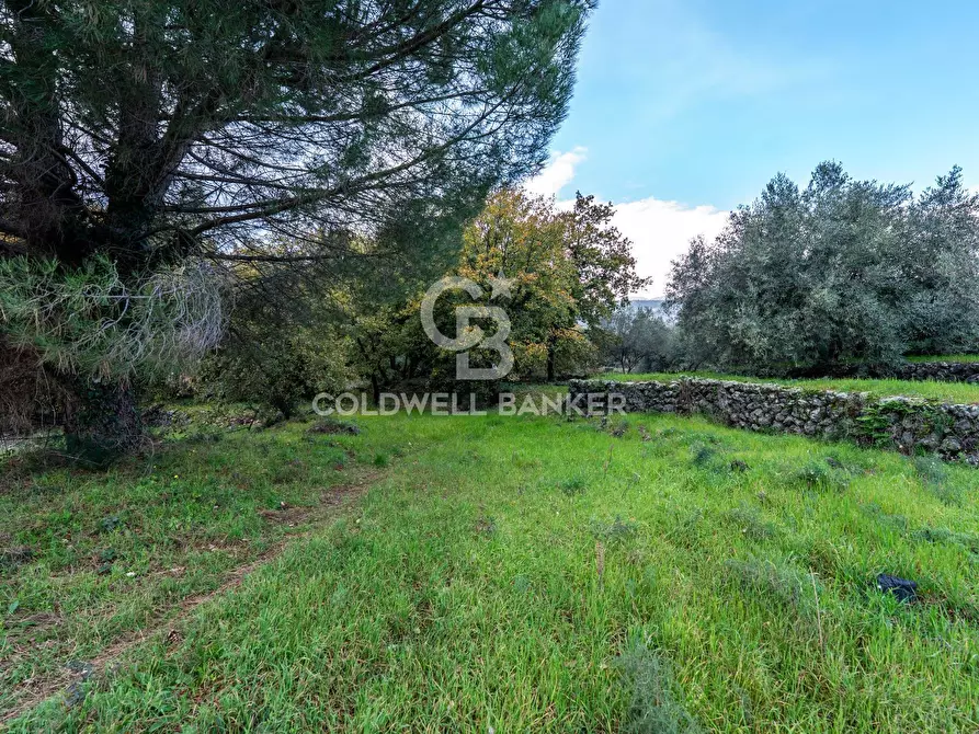 Immagine 6 di Terreno agricolo in vendita  in Via Cimitero Civita a Zafferana Etnea