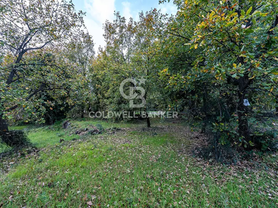 Immagine 1 di Terreno agricolo in vendita  in Via Cimitero Civita a Zafferana Etnea