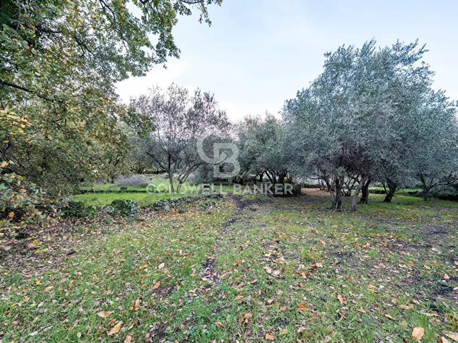 Immagine 9 di Terreno agricolo in vendita  in Via Cimitero Civita a Zafferana Etnea