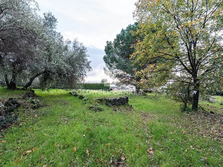 Immagine 10 di Terreno agricolo in vendita  in Via Cimitero Civita a Zafferana Etnea