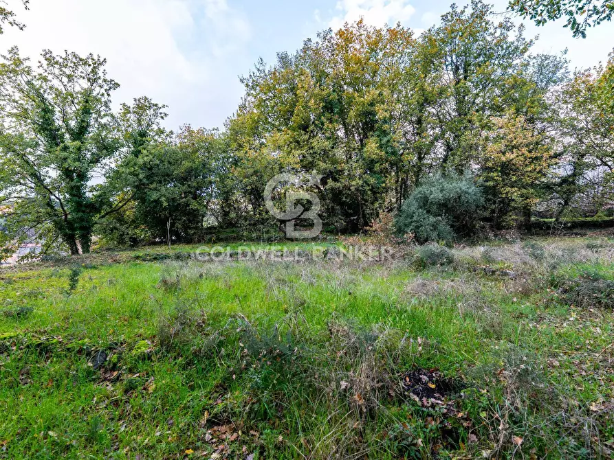Immagine 12 di Terreno agricolo in vendita  in Via Cimitero Civita a Zafferana Etnea