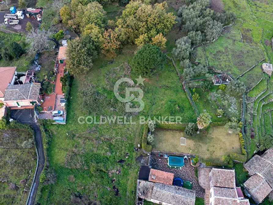 Immagine 15 di Terreno agricolo in vendita  in Via Cimitero Civita a Zafferana Etnea