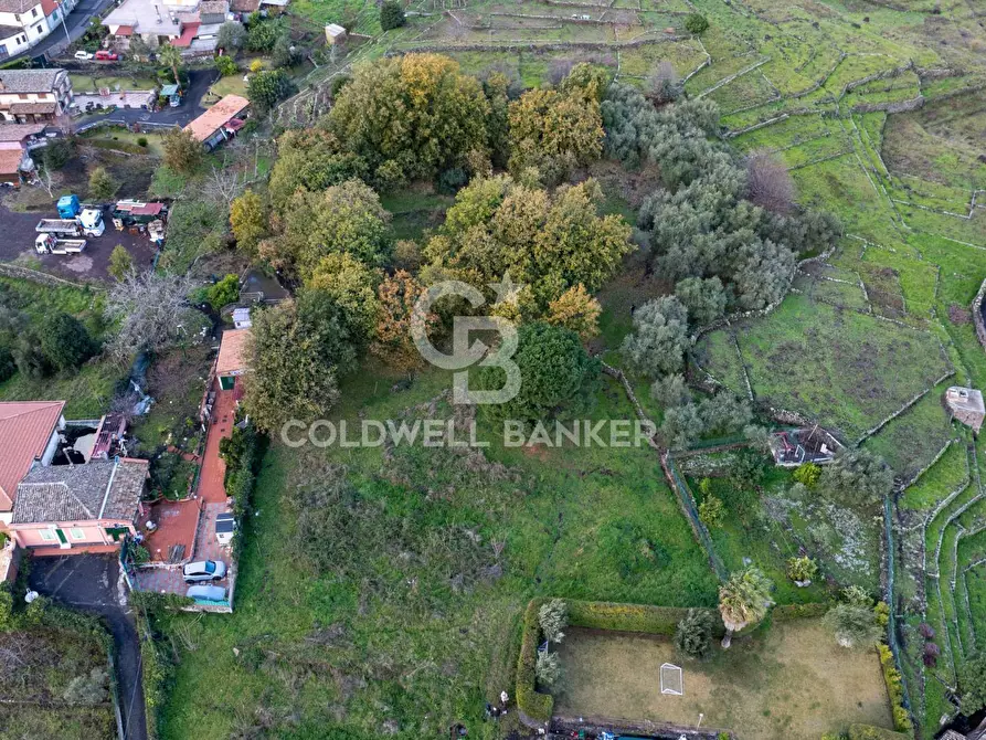 Immagine 16 di Terreno agricolo in vendita  in Via Cimitero Civita a Zafferana Etnea