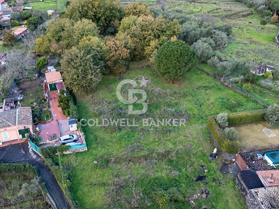 Immagine 17 di Terreno agricolo in vendita  in Via Cimitero Civita a Zafferana Etnea