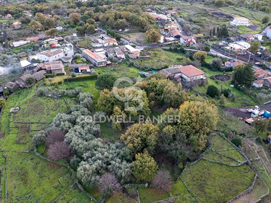 Immagine 19 di Terreno agricolo in vendita  in Via Cimitero Civita a Zafferana Etnea