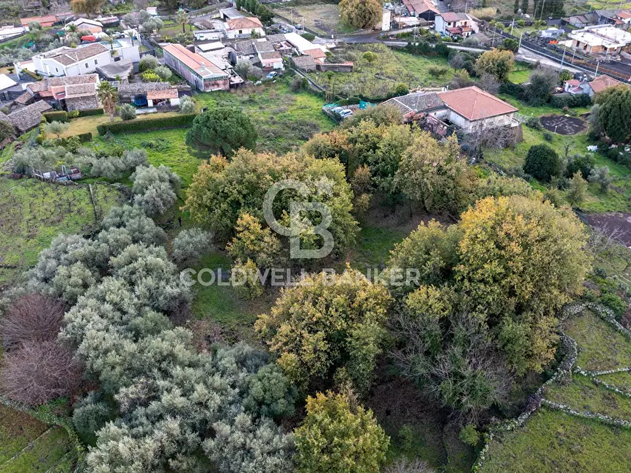 Immagine 20 di Terreno agricolo in vendita  in Via Cimitero Civita a Zafferana Etnea