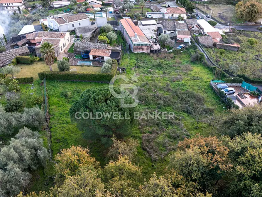 Immagine 21 di Terreno agricolo in vendita  in Via Cimitero Civita a Zafferana Etnea