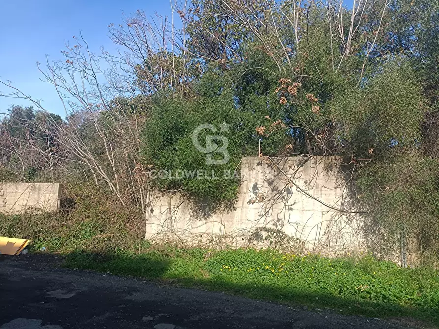 Immagine 2 di Terreno agricolo in vendita  in via degli Argentieri Acesi a Acireale