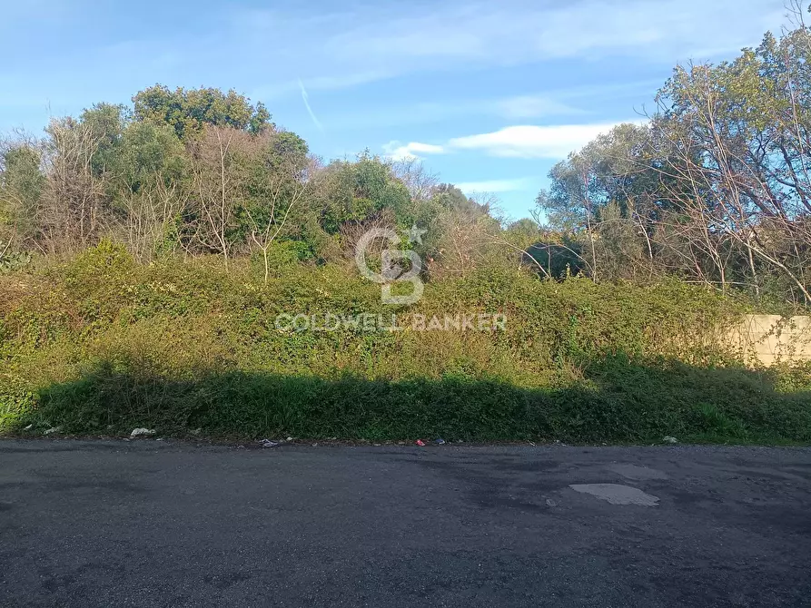 Immagine 3 di Terreno agricolo in vendita  in via degli Argentieri Acesi a Acireale