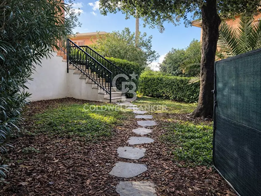 Immagine 9 di Appartamento in affitto  a Tarquinia