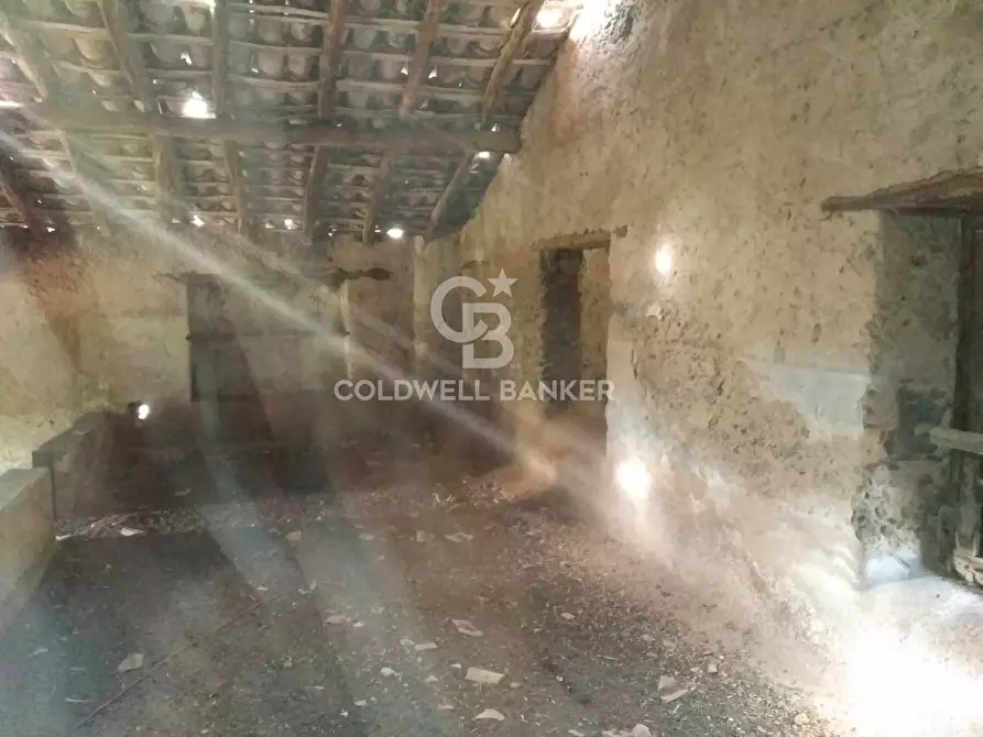 Immagine 6 di Magazzino in vendita  in via dei Paoli a Giarre