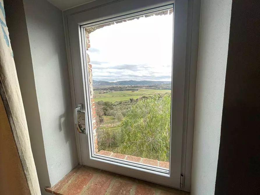 Immagine 23 di Villa in vendita  a Massa Marittima