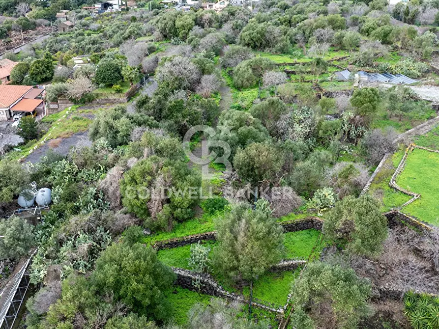 Immagine 1 di Terreno agricolo in vendita  in VIA COLLINA DI POLIFEMO s.n. a Aci Castello