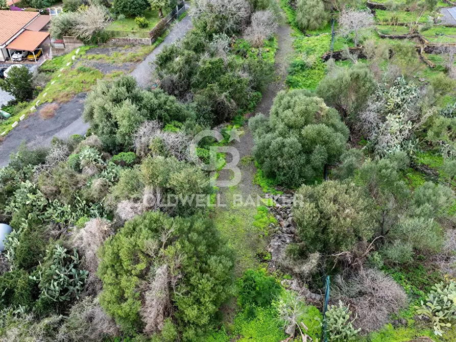 Immagine 3 di Terreno agricolo in vendita  in VIA COLLINA DI POLIFEMO s.n. a Aci Castello