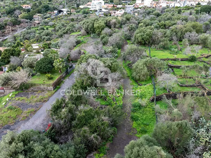 Immagine 4 di Terreno agricolo in vendita  in VIA COLLINA DI POLIFEMO s.n. a Aci Castello