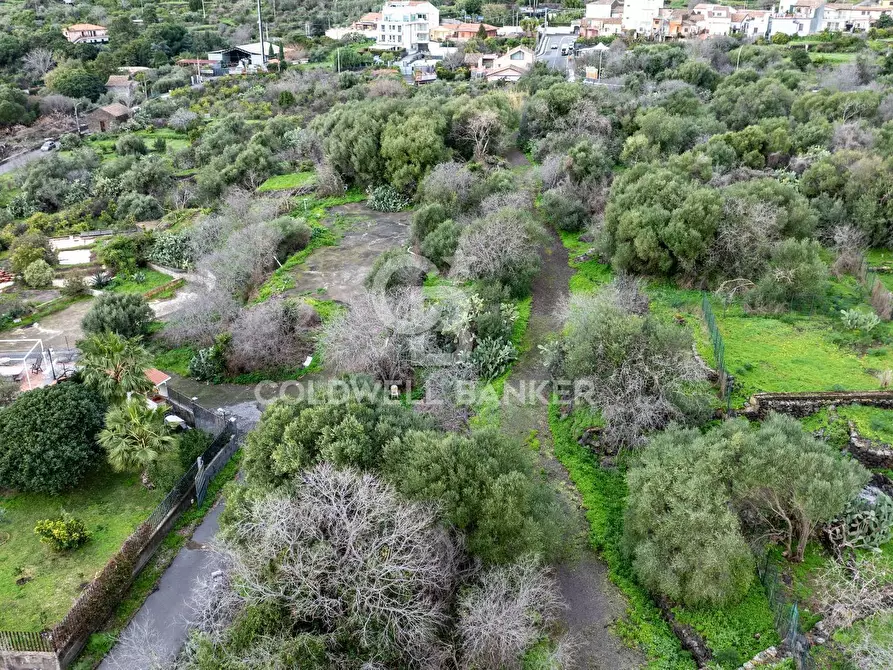 Immagine 6 di Terreno agricolo in vendita  in VIA COLLINA DI POLIFEMO s.n. a Aci Castello