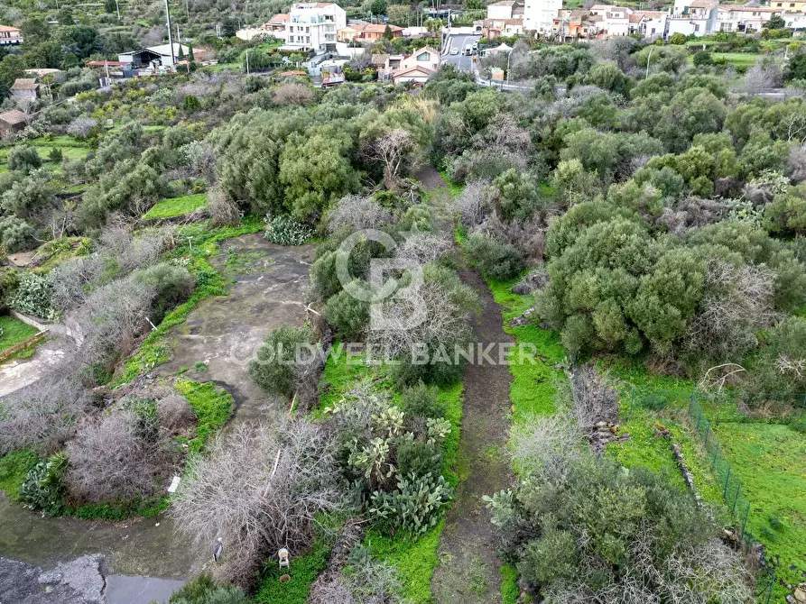 Immagine 7 di Terreno agricolo in vendita  in VIA COLLINA DI POLIFEMO s.n. a Aci Castello