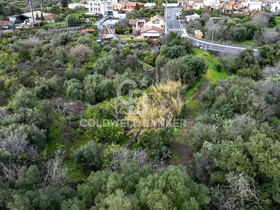 Immagine 10 di Terreno agricolo in vendita  in VIA COLLINA DI POLIFEMO s.n. a Aci Castello