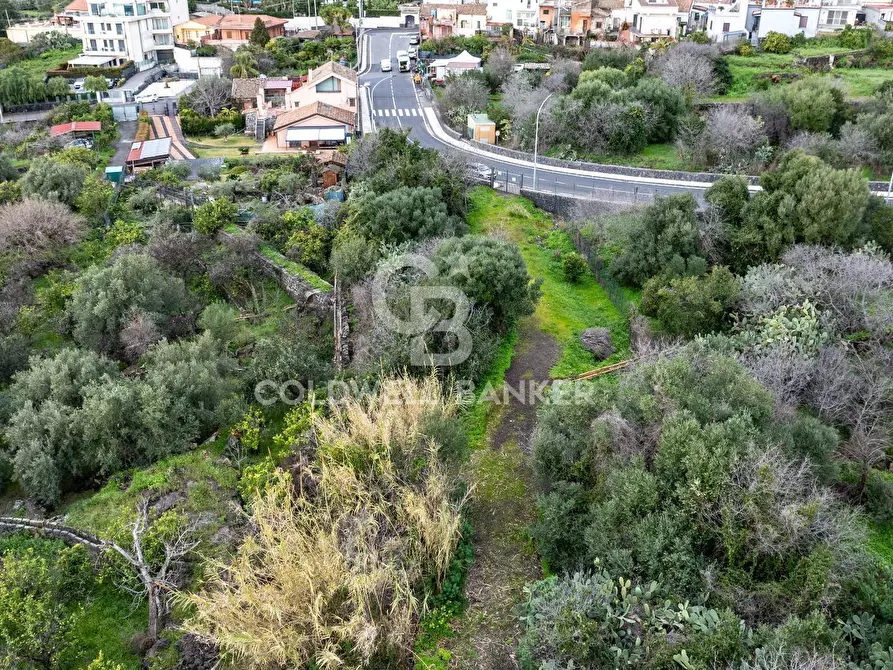 Immagine 11 di Terreno agricolo in vendita  in VIA COLLINA DI POLIFEMO s.n. a Aci Castello