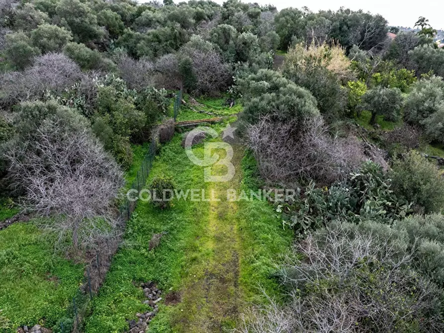 Immagine 15 di Terreno agricolo in vendita  in VIA COLLINA DI POLIFEMO s.n. a Aci Castello