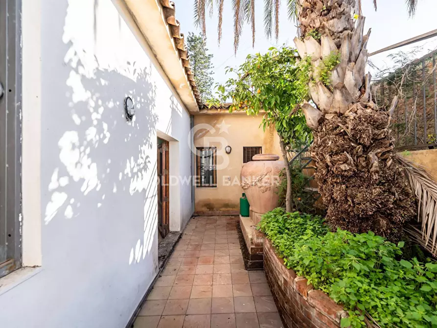 Immagine 30 di Casa indipendente in vendita  in Via Pomona 7 a Catania