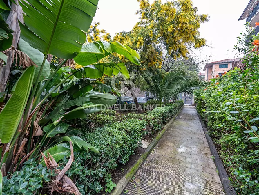 Immagine 17 di Appartamento in vendita  in Via Santa Rosa Da Lima 12 a Catania