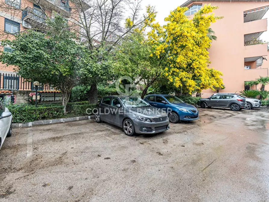 Immagine 21 di Appartamento in vendita  in Via Santa Rosa Da Lima 12 a Catania