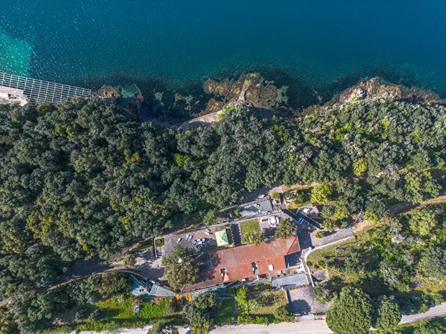 Immagine 24 di Villa in vendita  in Loc. Naregno a Capoliveri