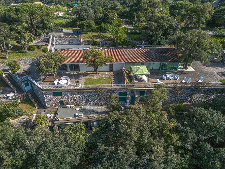 Immagine 7 di Villa in vendita  in Loc. Naregno a Capoliveri