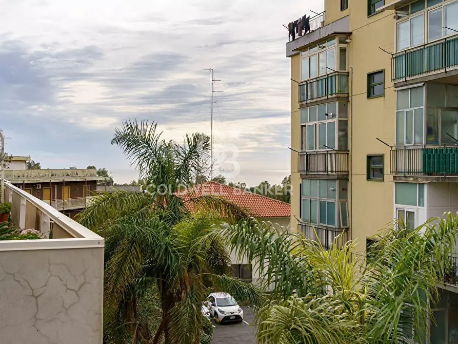 Immagine 40 di Appartamento in vendita  in via generale san marzano 1 a Gravina Di Catania