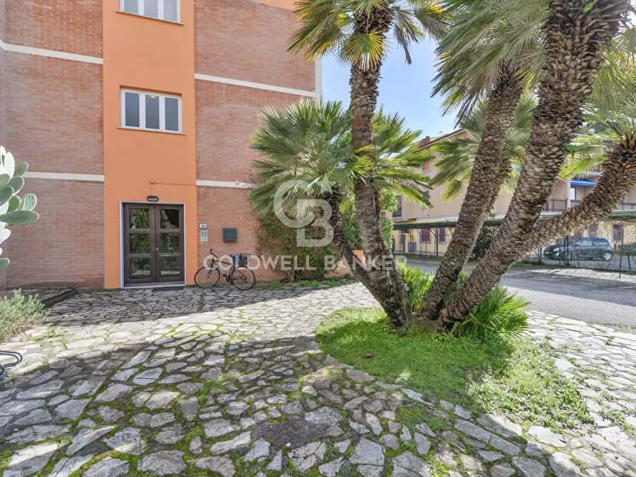 Immagine 20 di Appartamento in vendita  in Via per Portoferraio a Campo Nell'elba