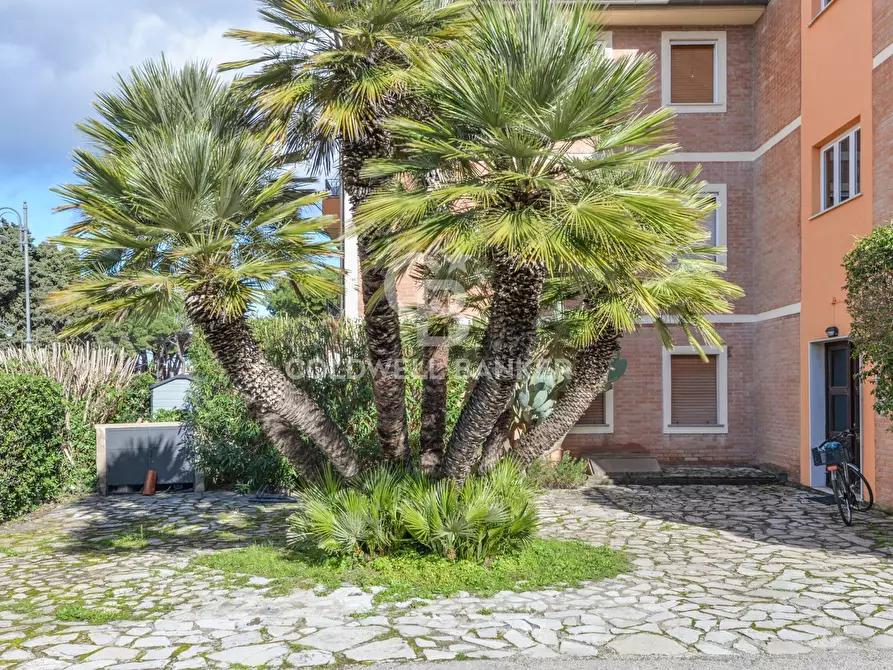 Immagine 22 di Appartamento in vendita  in Via per Portoferraio a Campo Nell'elba