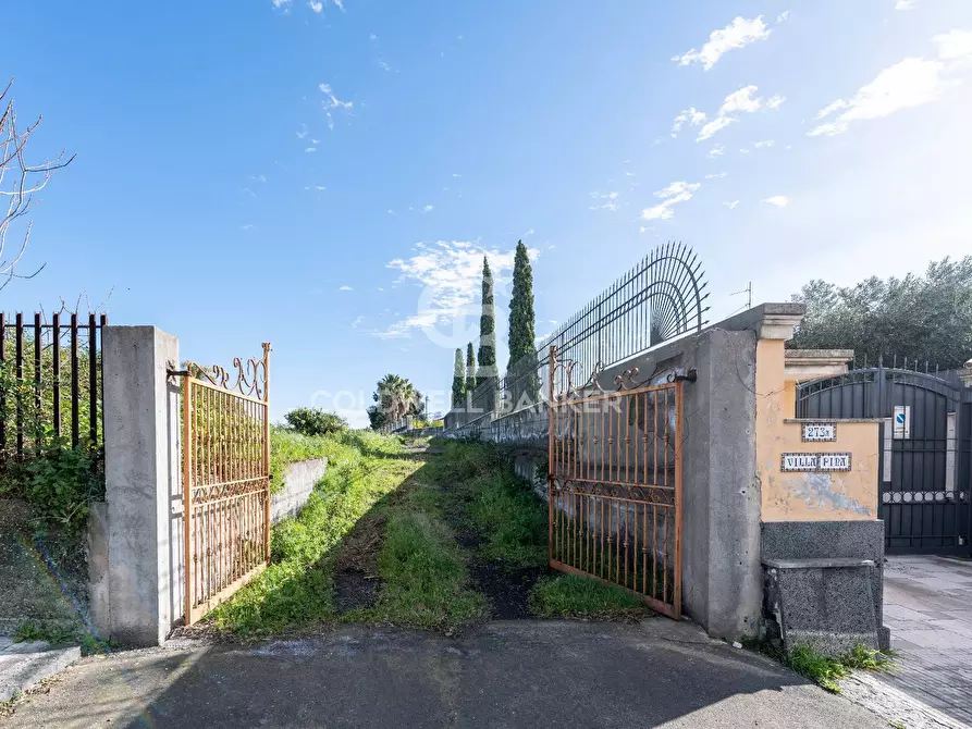 Immagine 4 di Terreno agricolo in vendita  in Via Pietralonga 3 a Mascali