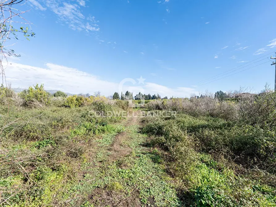 Immagine 8 di Terreno agricolo in vendita  in Via Pietralonga 3 a Mascali