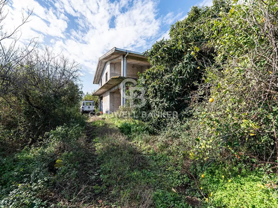 Immagine 9 di Terreno agricolo in vendita  in Via Pietralonga 3 a Mascali