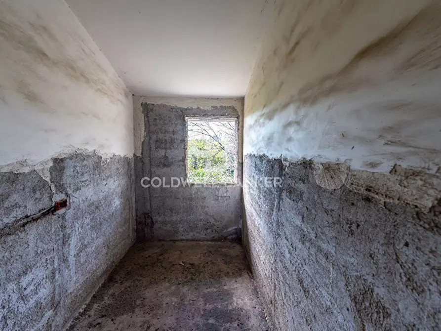 Immagine 29 di Terreno agricolo in vendita  in Via Pietralonga 3 a Mascali