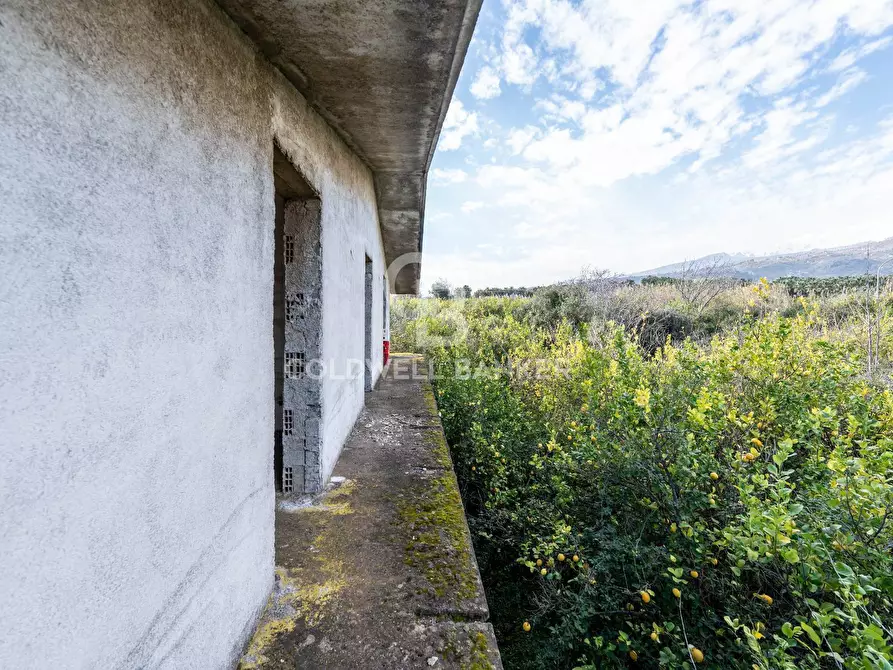 Immagine 31 di Terreno agricolo in vendita  in Via Pietralonga 3 a Mascali