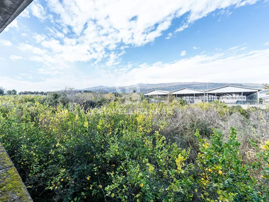 Immagine 24 di Terreno agricolo in vendita  in Via Pietralonga 3 a Mascali