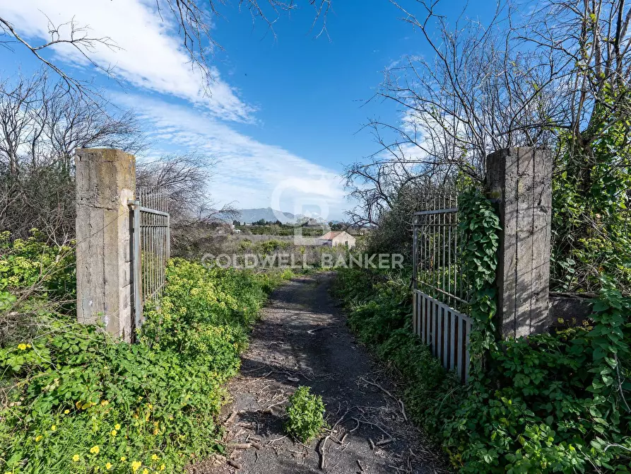 Immagine 17 di Terreno agricolo in vendita  in Via Pietralonga 3 a Mascali