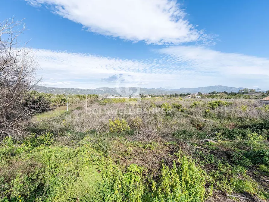 Immagine 23 di Terreno agricolo in vendita  in Via Pietralonga 3 a Mascali