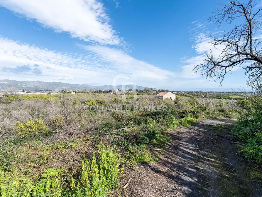 Immagine 19 di Terreno agricolo in vendita  in Via Pietralonga 3 a Mascali