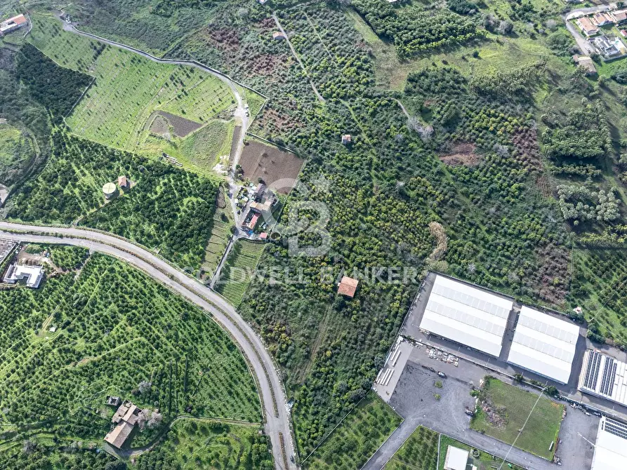 terreno agricolo in vendita a Mascali