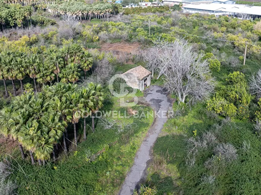 Immagine 2 di Terreno agricolo in vendita  in Via Pietralonga 3 a Mascali