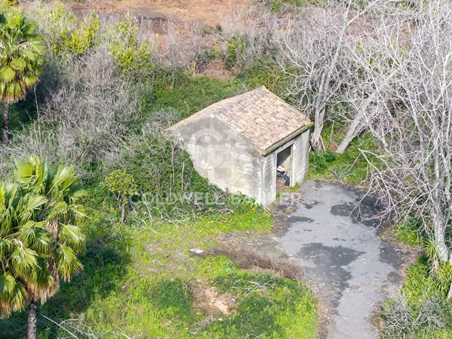 Immagine 12 di Terreno agricolo in vendita  in Via Pietralonga 3 a Mascali
